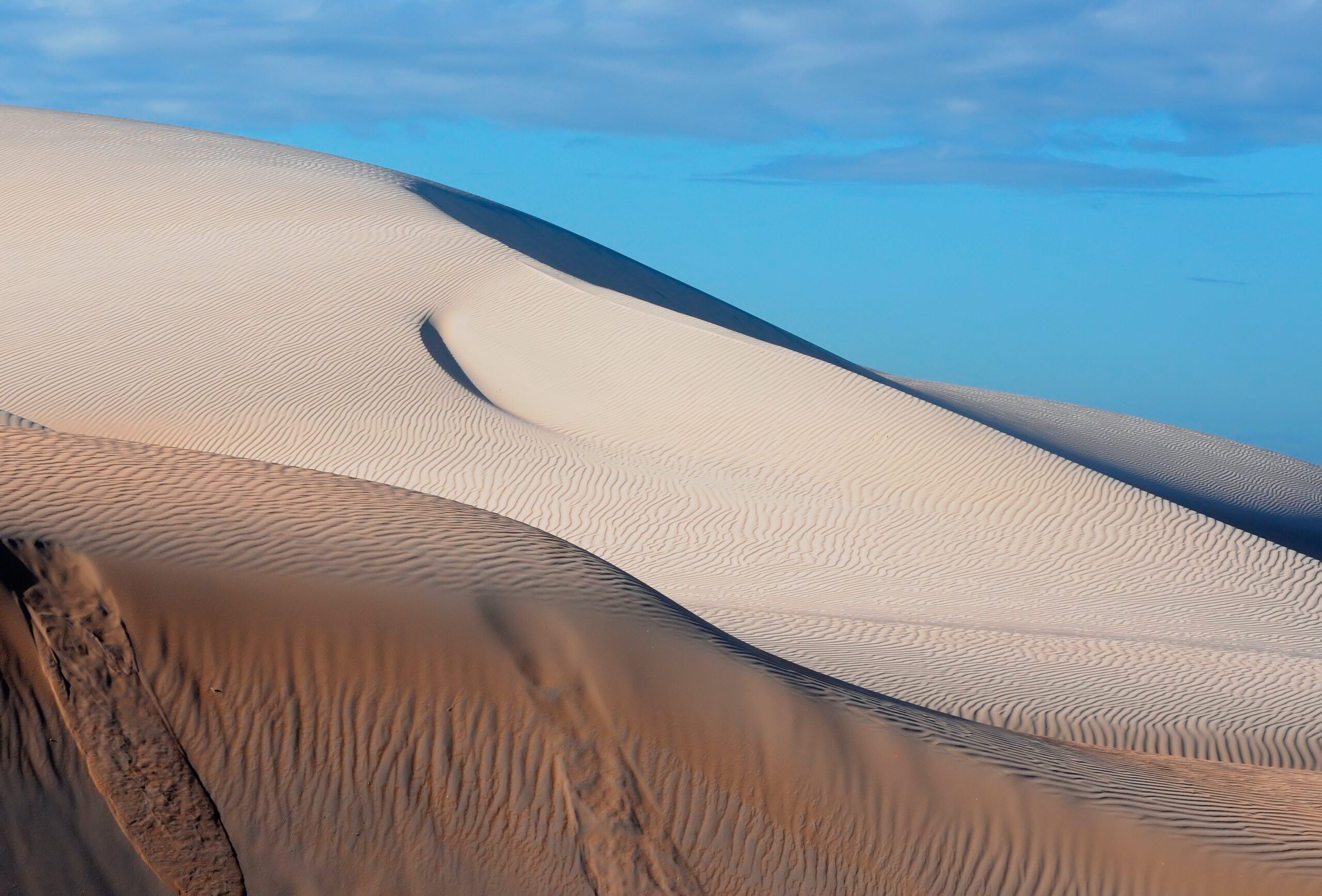 Sueños Global Tequila - Desert image